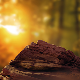 background Bronze terea tranzitie